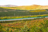 三北工程造林4亿亩 北疆绿色生态屏障如何筑得更牢