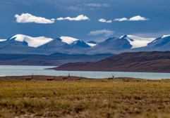 西藏：“最美第三極”畫卷漸次舒展