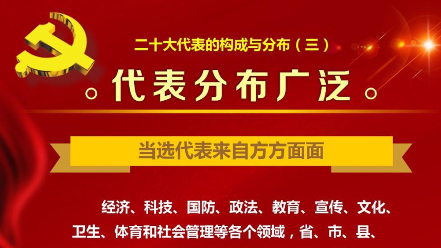 中央组织部负责人就党的二十大代表选举工作情况答新华社记者问