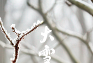 节令之美·大雪丨7日17时33分大雪：天人宁许巧，剪水作花飞